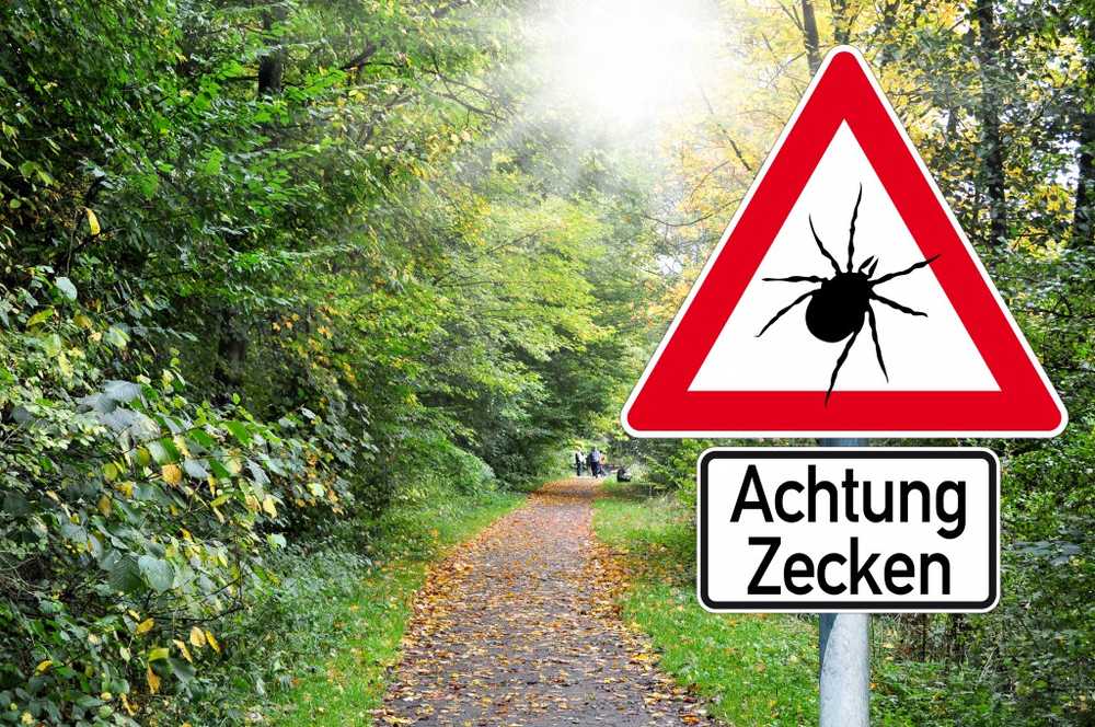 Ticks already active at seven degrees are already on the way again / Health News