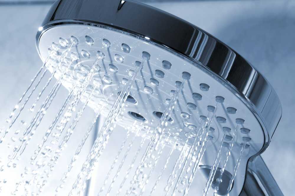 Deposits in the shower head can lead to dangerous illnesses / Health News