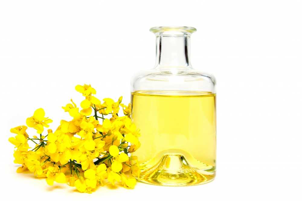 Lose weight Healthy rapeseed oil eats belly fat / Health News