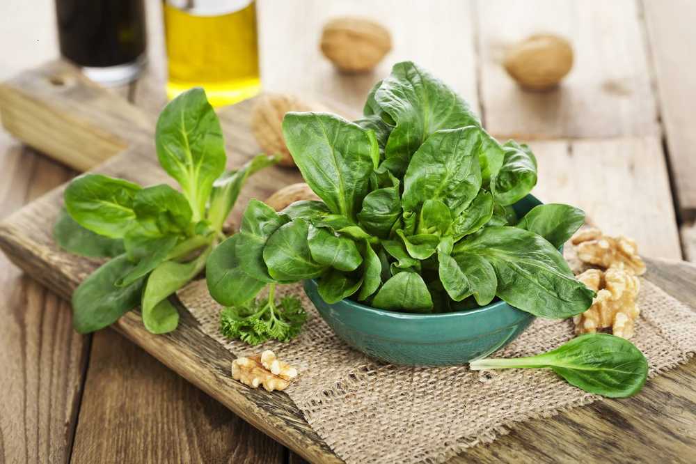 Strengthening natural defenses Fresh lamb's lettuce contains a great deal of healthy vitamin C. / Health News