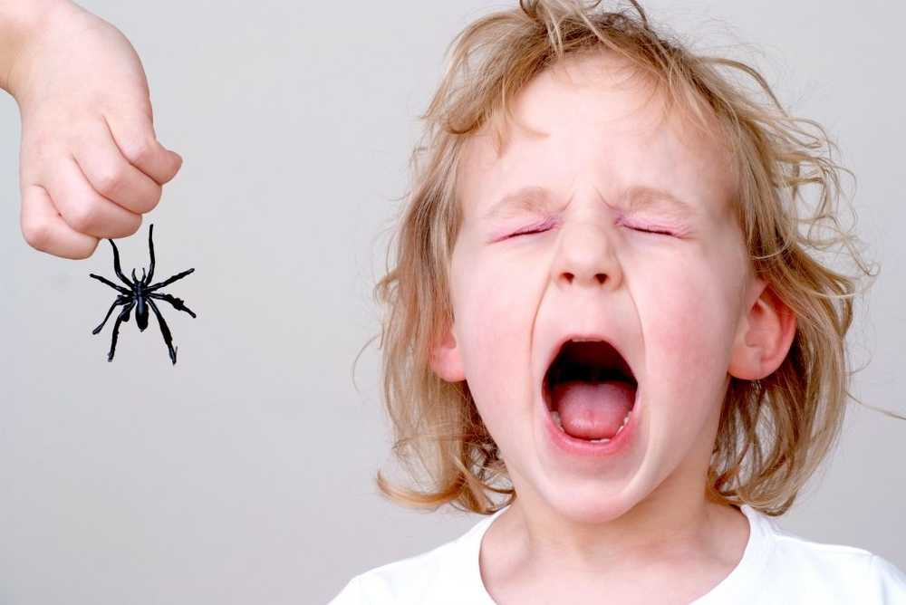 Innate fears and aversion - why we fear spiders and snakes / Health News