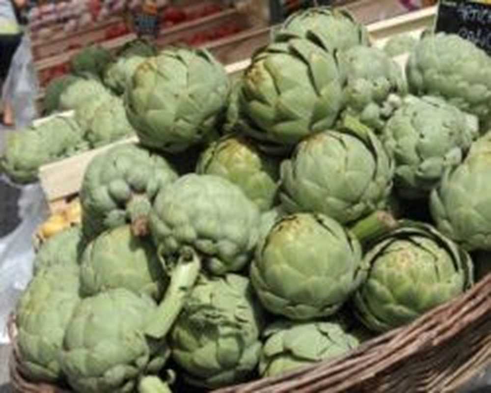 artichokes / 