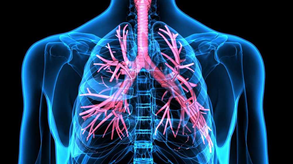 Bronchiale astma - oorzaken, symptomen en therapie / ziekten