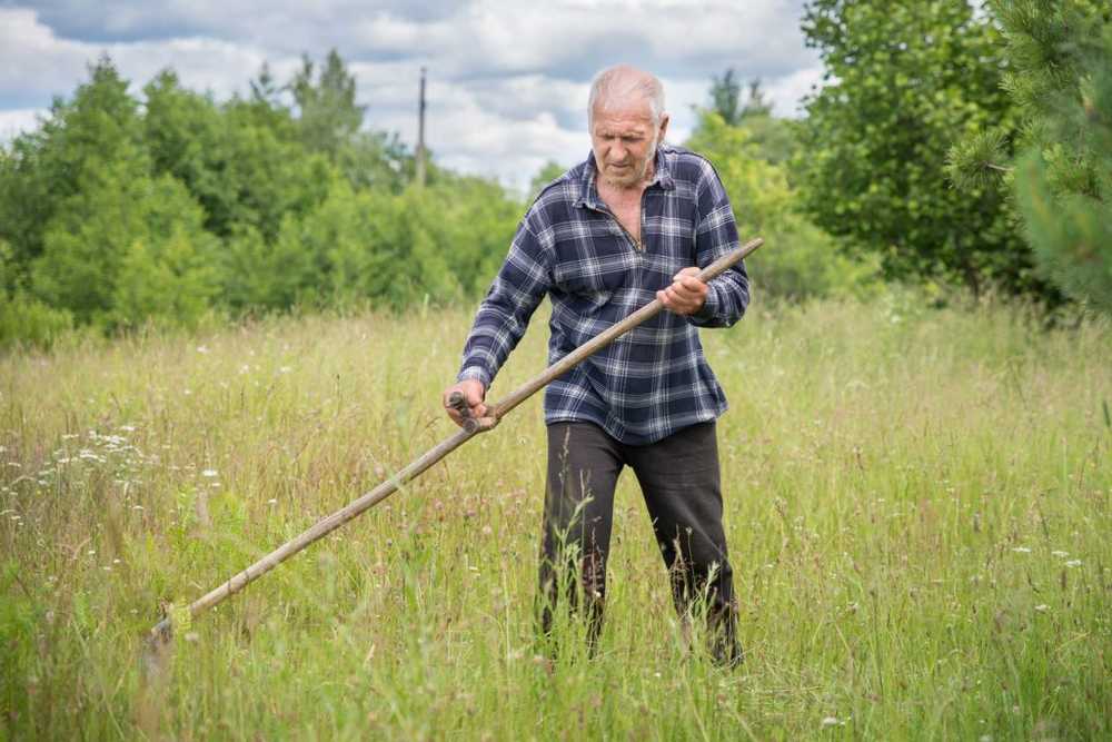 Utdådda yrken - Reaper, Ranger och Rootseppen / naturmedicin