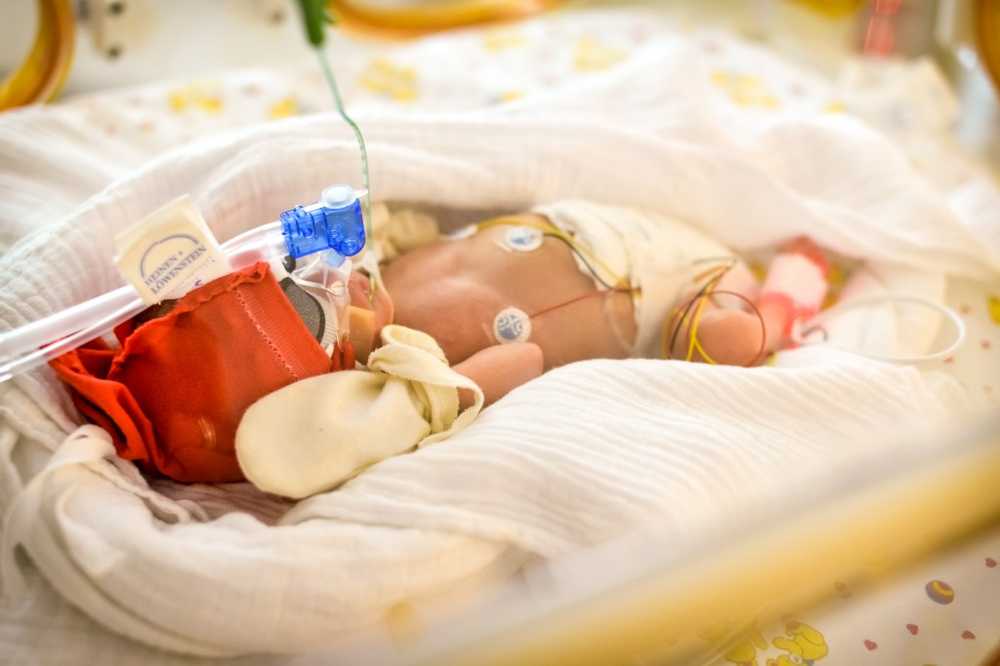 Bacteria detection Stop recording at Tübingen premature baby station / Health News