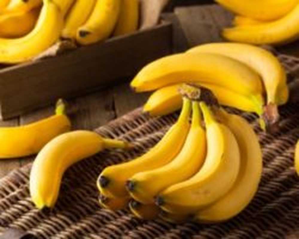 bananas / 