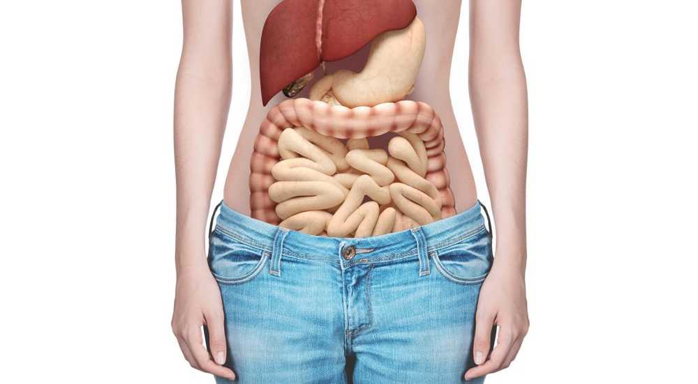 Tummy ache When the intestine is constantly on strike / Health News