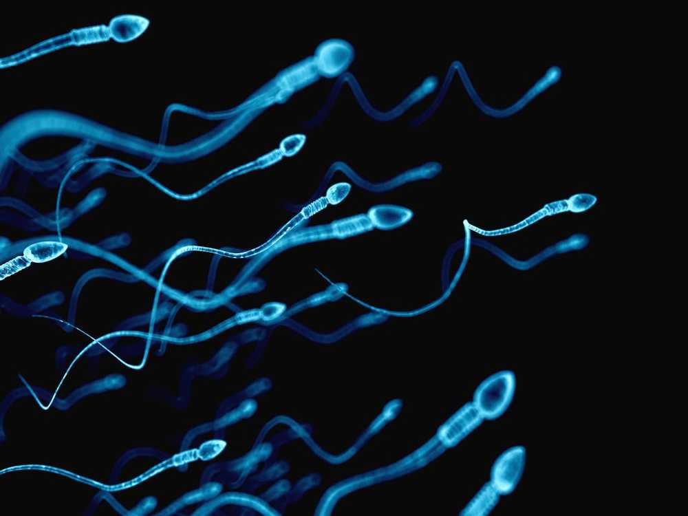 Questionable results Men have less and less sperm / Health News