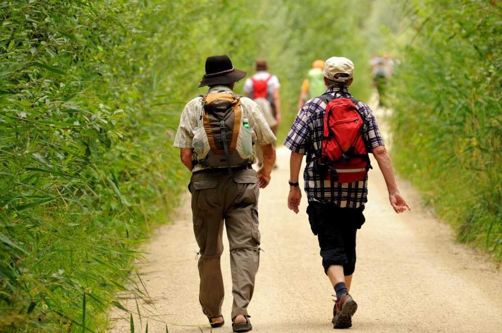 Movement studies Hiking can significantly improve brain function / Health News