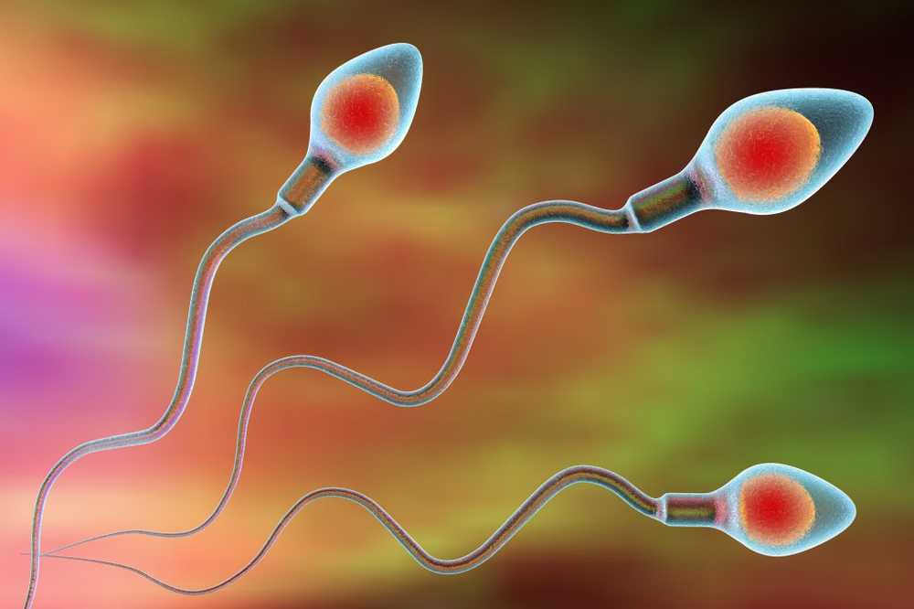 BFH German Middle Way in artificial insemination lawful / Health News