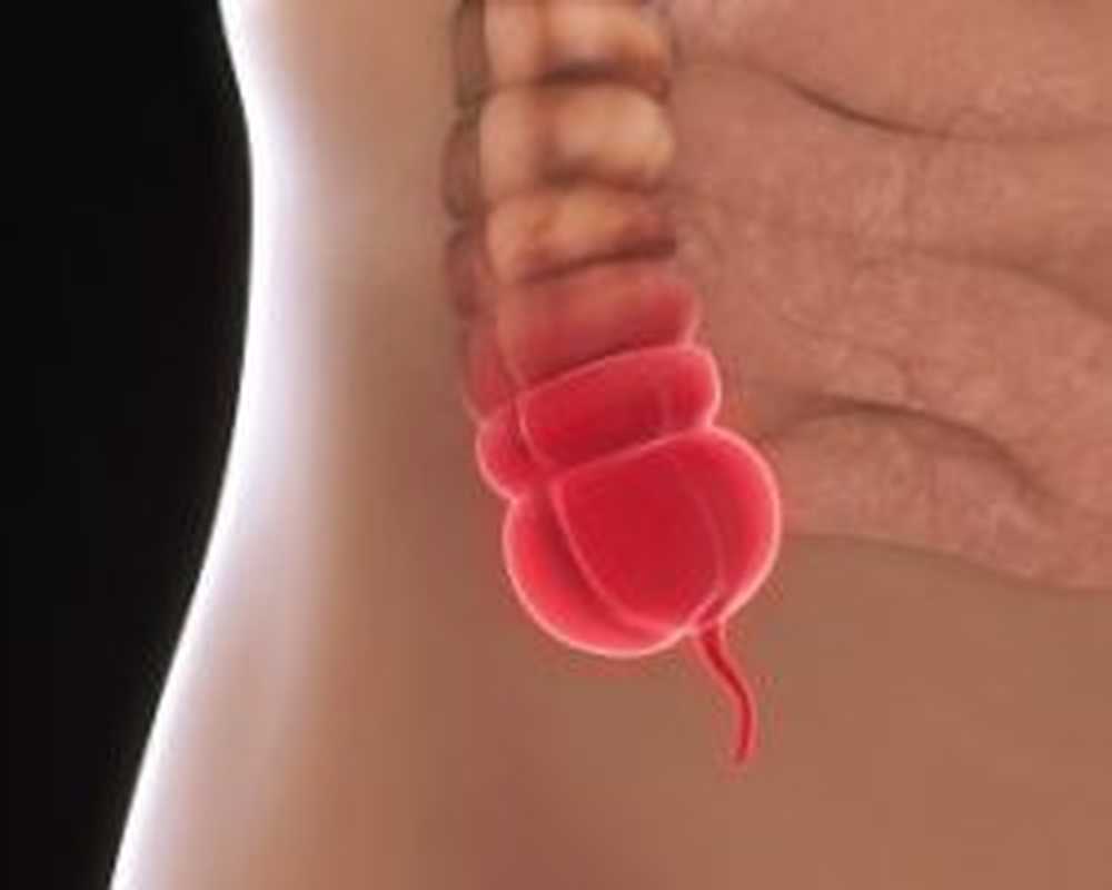 appendix / 