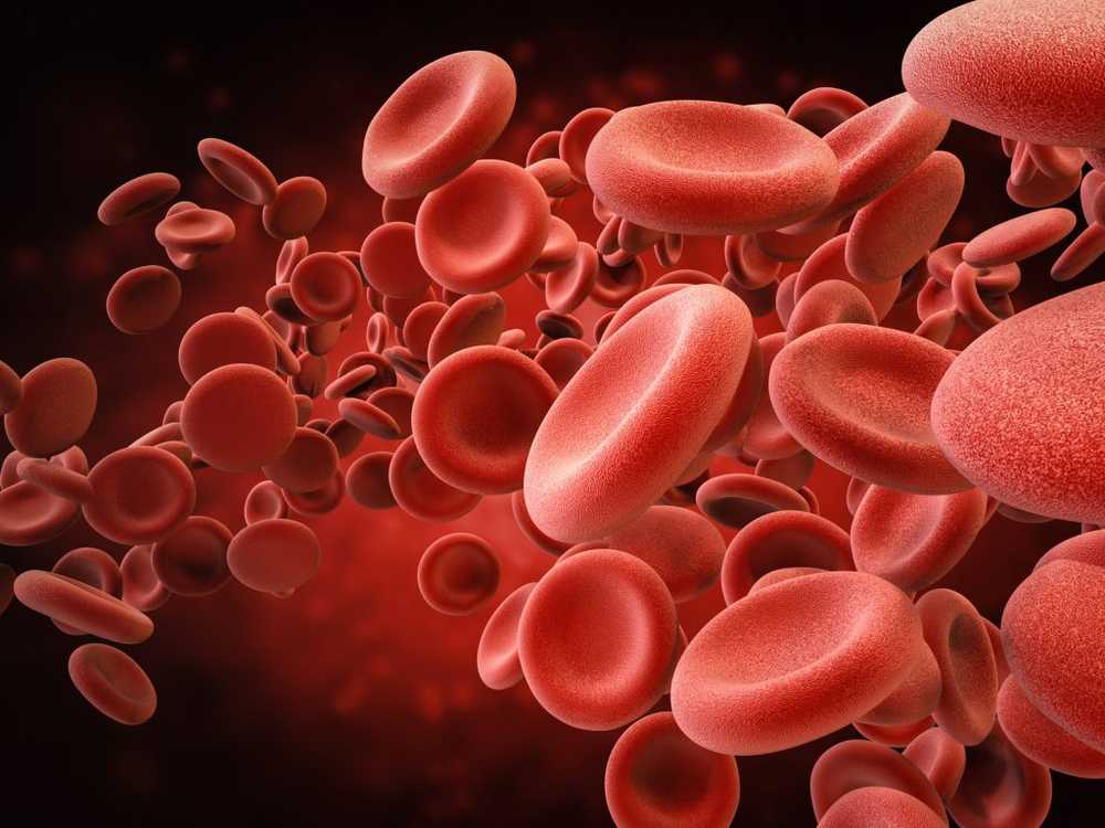 Anemia Nuove conoscenze sullo sviluppo delle cellule del sangue / Notizie di salute