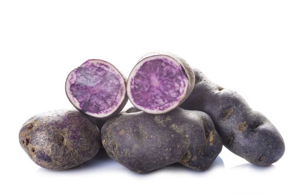 Hypertension Blue truffle potatoes can lower blood pressure / Health News