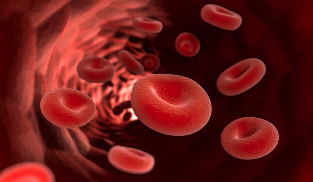 Thick Blood - Causes, Symptoms and Treatment / Diseases