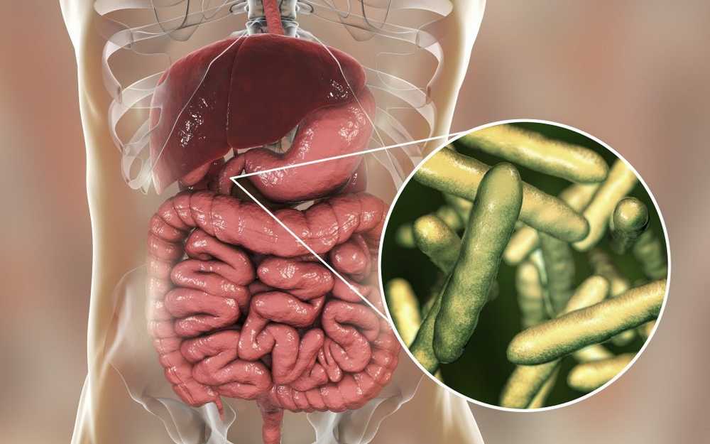 Het anti-schimmel dieet helpt bij het afvallen en verlicht een opgeblazen gevoel / Gezondheid nieuws