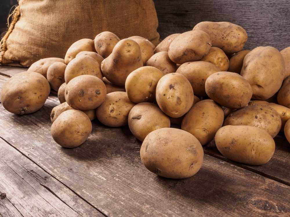 Dieet Knol De aardappelen worden ten onrechte beschouwd als vetmesting / Gezondheid nieuws