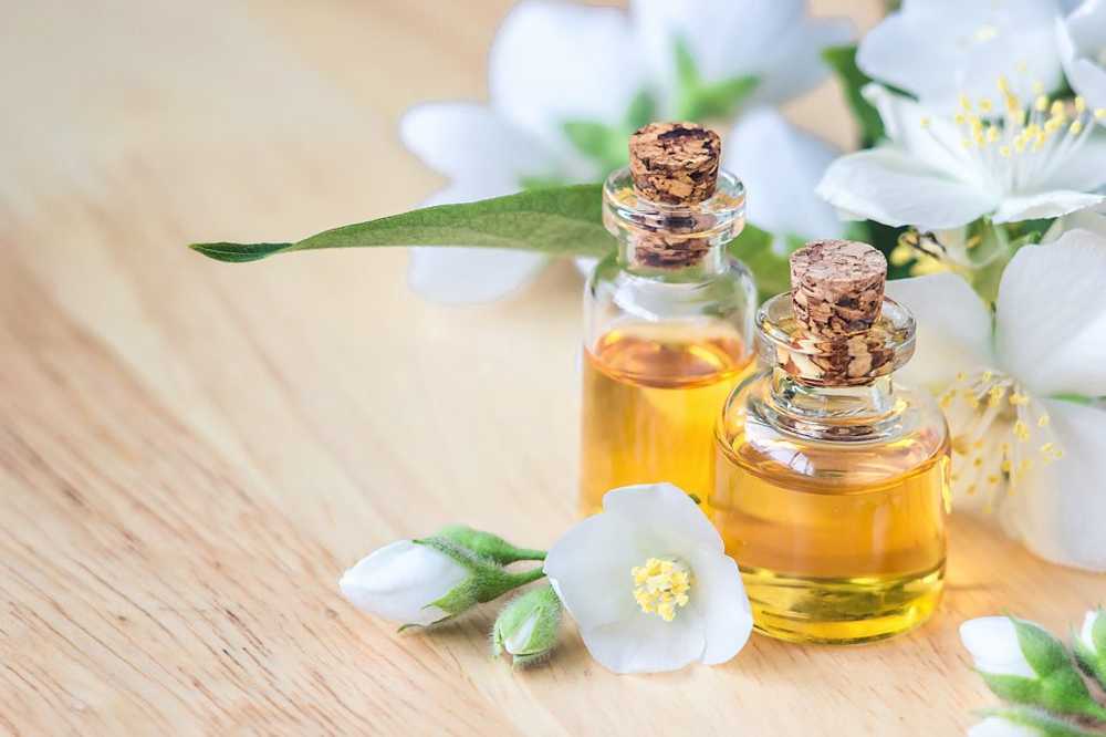 Jasmine flower fragrance could become natural valium replacement / Health News