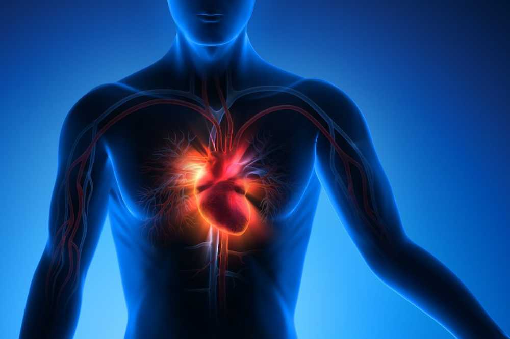 Breakthrough Diviziunea celulară activată previne insuficiența cardiacă / Știri despre sănătate