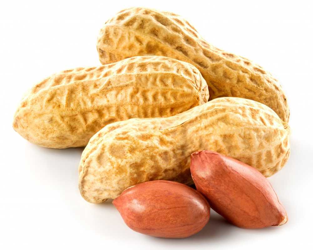 Breakthrough Scientists successfully treat peanut allergy in toddlers / Health News