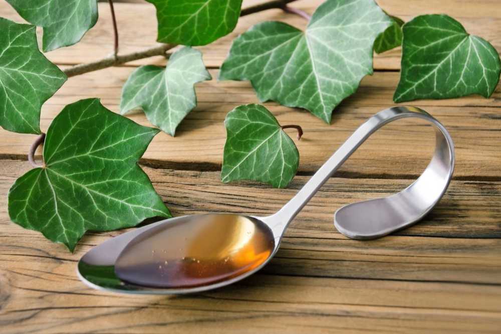 Ivy varieties, medicinal plant and application / Naturopathy