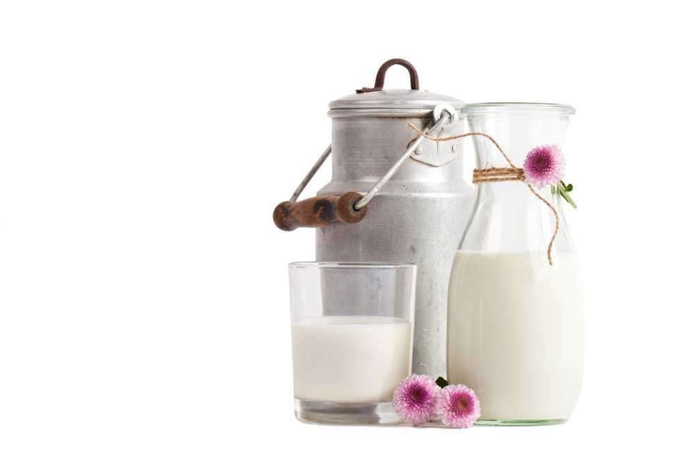 A glass of milk for breakfast to protect against obesity and diabetes? / Health News