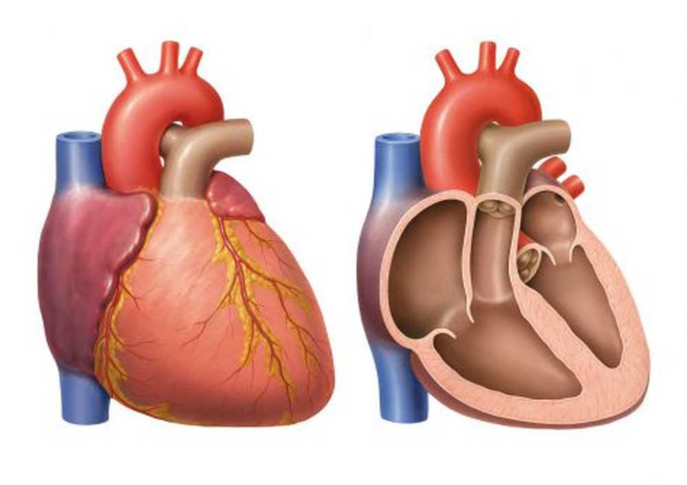 A life for heart medicine - Pioneers of cardiac surgery are 90 years old / Health News