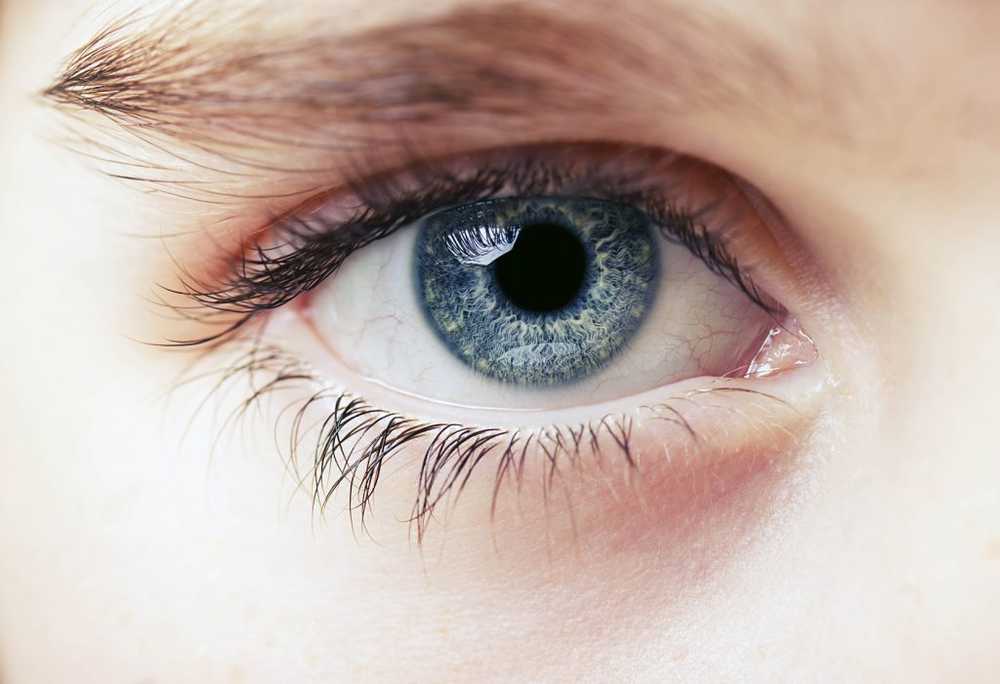 Simple retinal test can diagnose Alzheimer's already 20 years before the outbreak / Health News