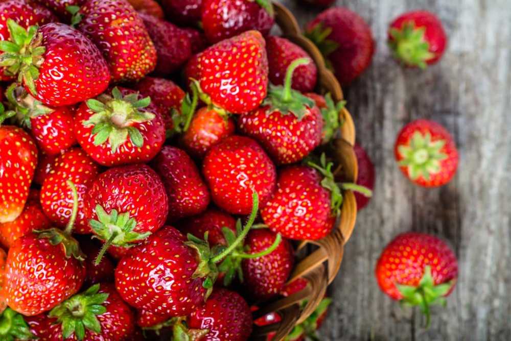 Strawberries - Ingredients, Applications and Mythology / Naturopathy