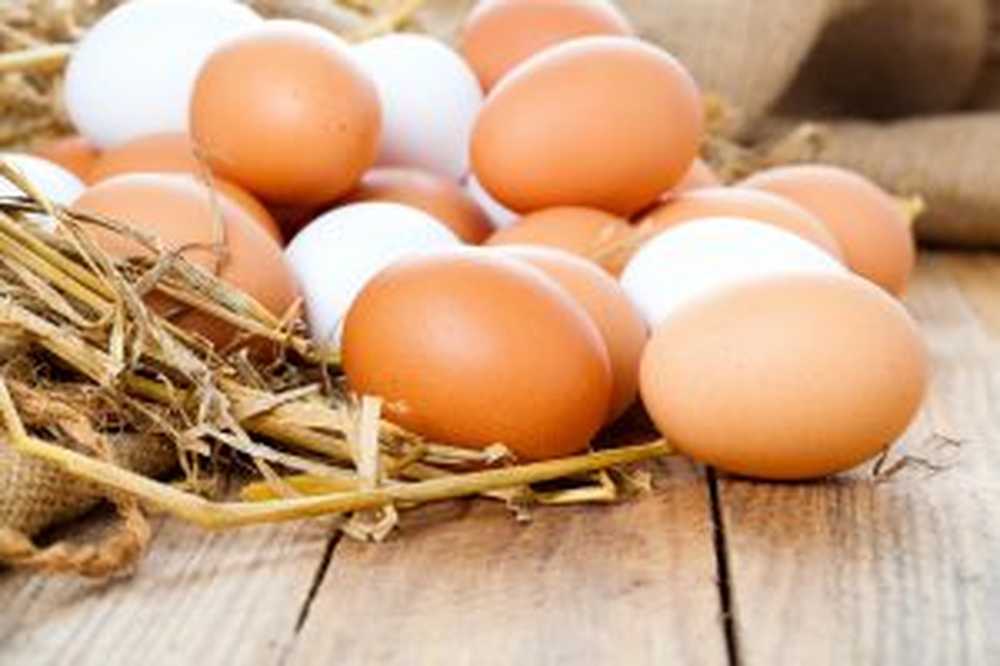 Do eggs actually increase cholesterol and harm our health? / Health News