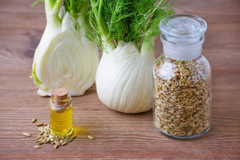 Fennel syrup - application, preparation and effects / 