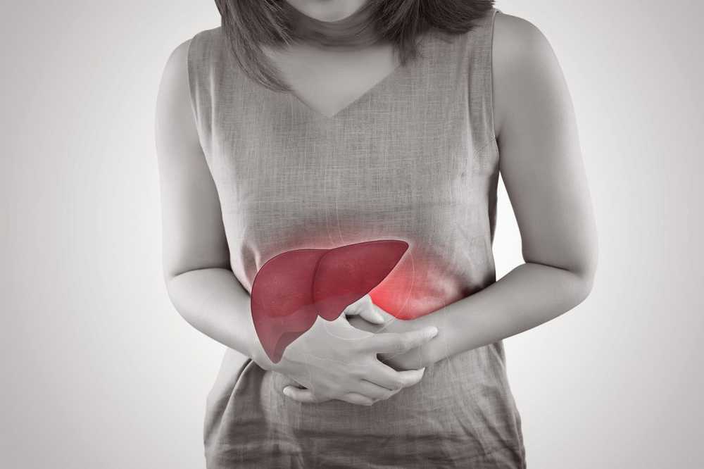 Fatty liver causes and therapy / Diseases