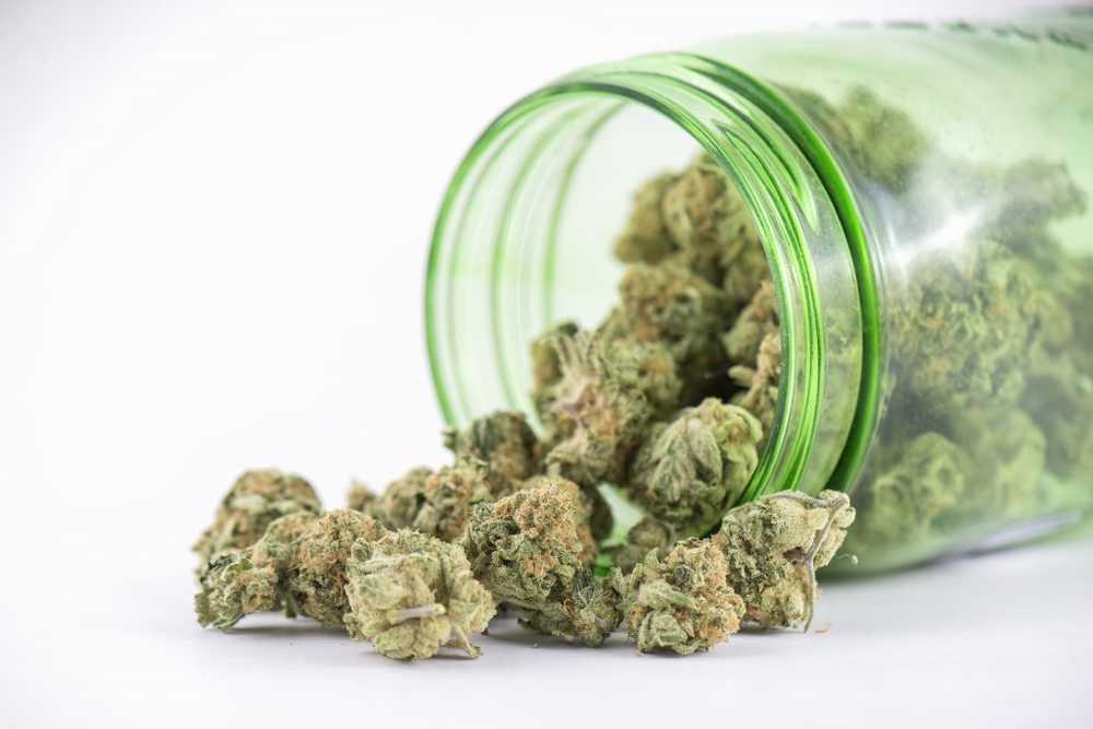 Does marijuana use lead to a high risk of stroke? / Health News