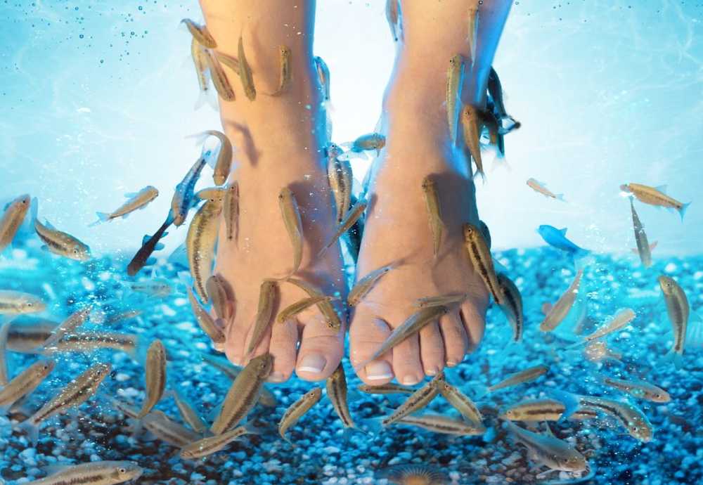 Fish pedicure produced amputation of all toes / Health News