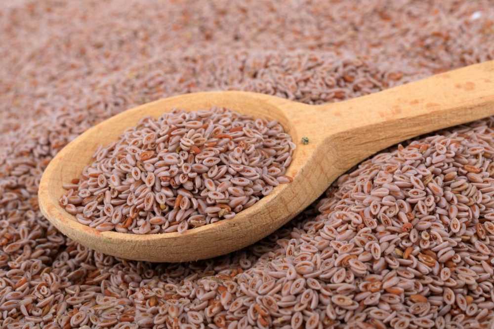 Psyllium - toepassing en effecten / 