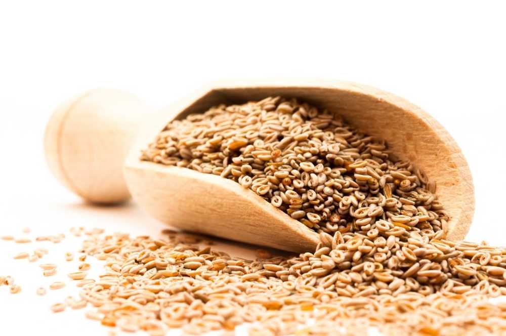 Buccia di psyllium - applicazione ed effetto