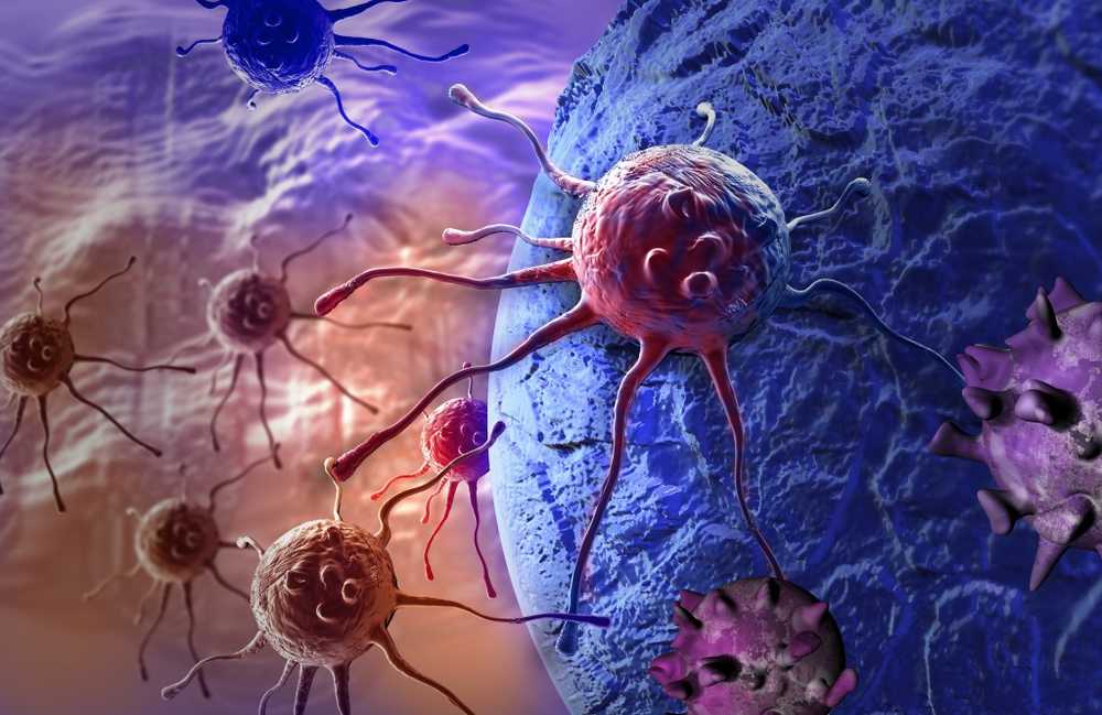 La formación de células cancerosas es la causa de las metástasis / Noticias de salud