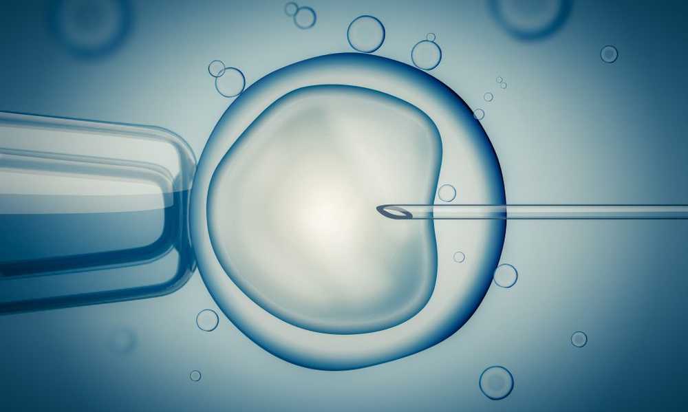 Kvinne takket være bevaret egg i 14 år blir mor / Helse Nyheter