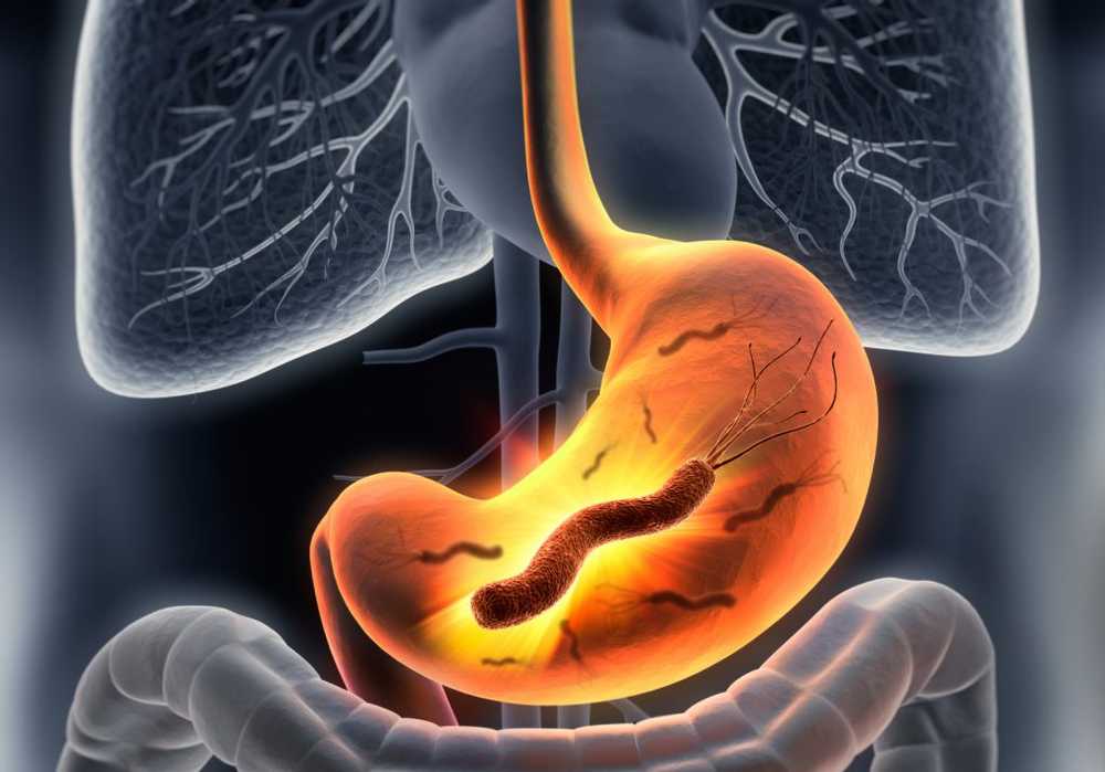 Gastritis Decrypts important mechanisms of Helicobacter pylori infections / Health News