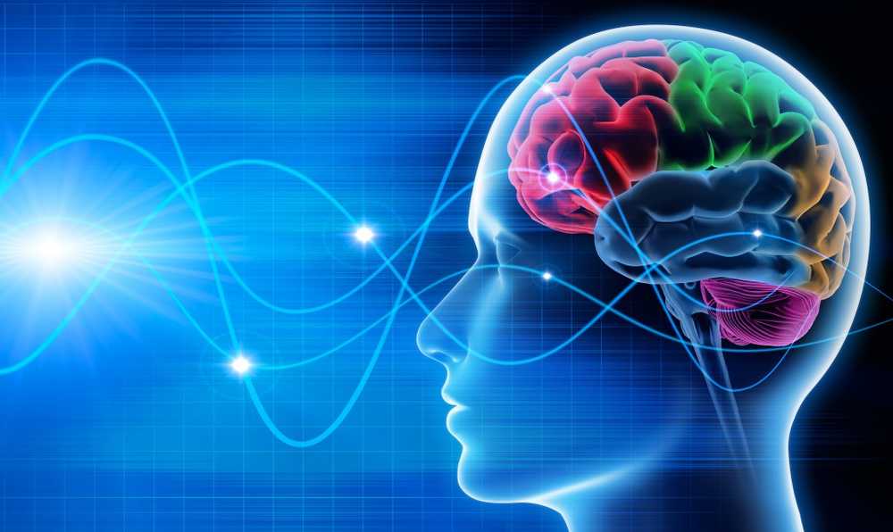 Thoughts readable Neurologists decode brain waves and recognize future actions in advance / Health News