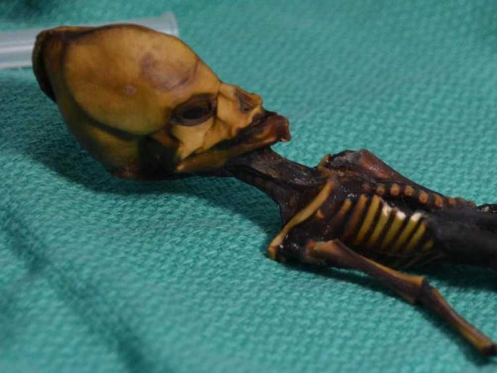 Secret about the tiny alien mummy from Chile has been revealed / Health News