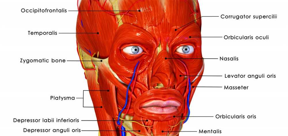 Douleur faciale causes, symptômes et traitement / symptômes