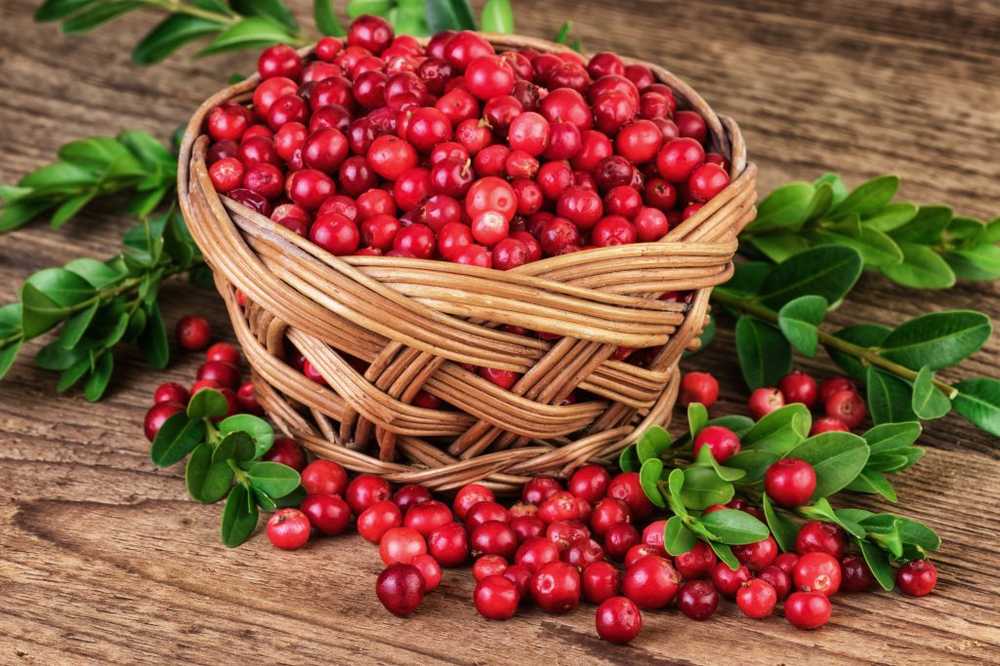 Healthy Diet Cranberry also a superfood? / Health News