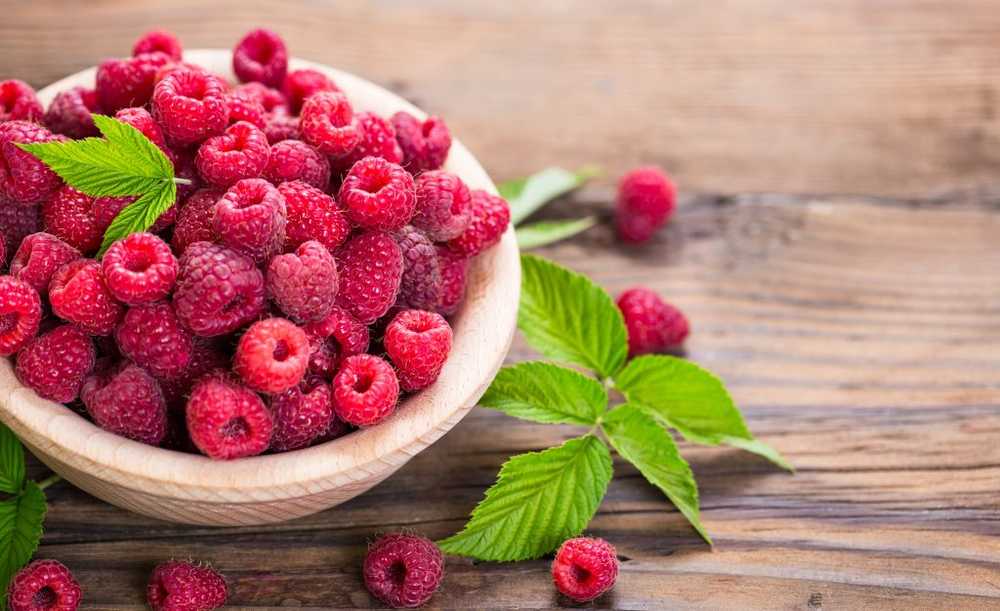 Framboises en bonne santé Riche en vitamines et en minéraux précieux / Nouvelles sur la santé