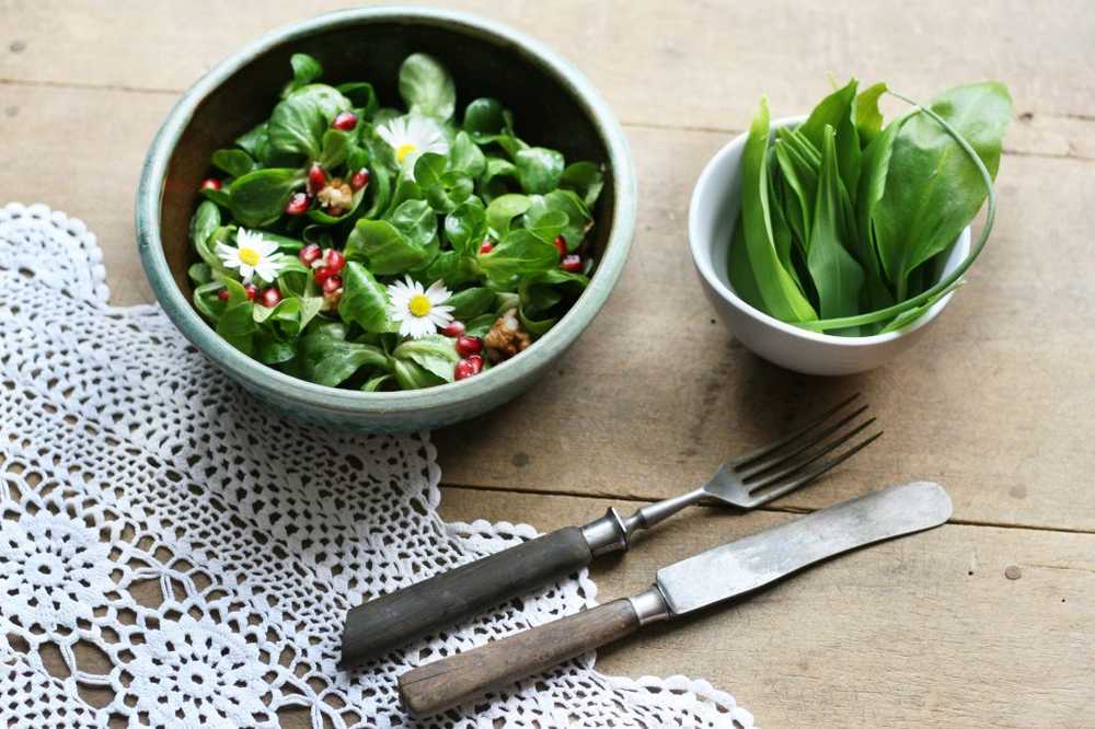 Salades de saison saines Ces vitamines et minéraux nous renforcent en automne / Nouvelles sur la santé