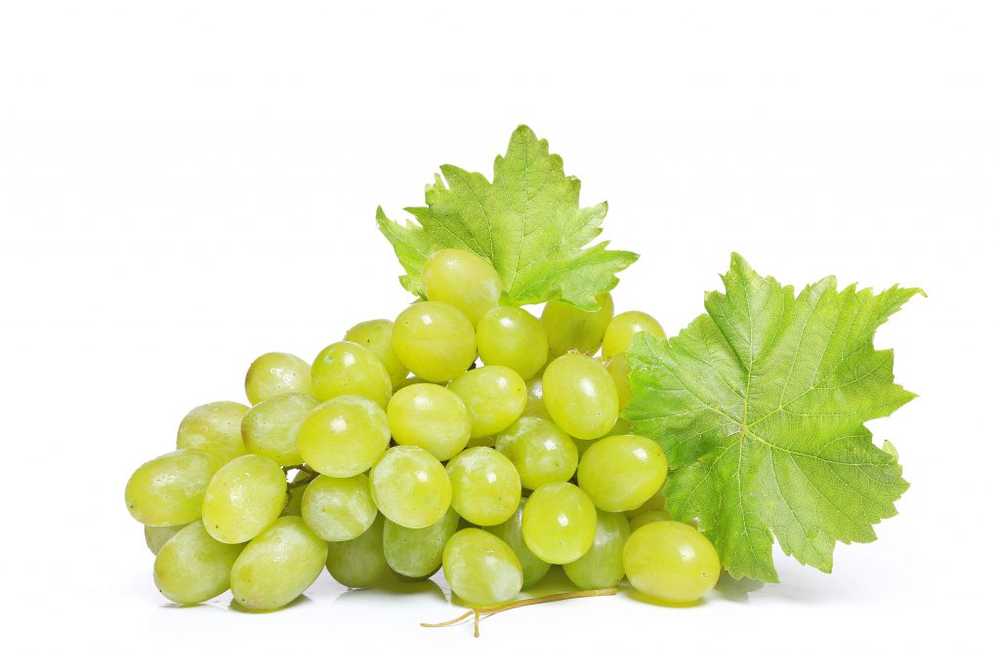 Healthy grapes are now in high season / Health News