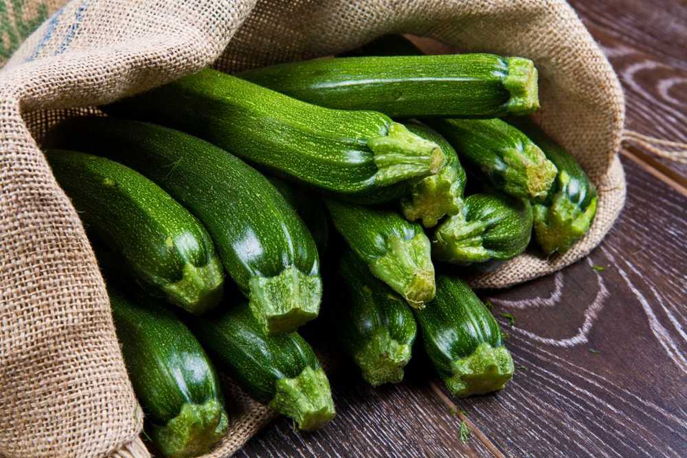 Courgette saine - idéale pour la cuisine minceur / Nouvelles sur la santé