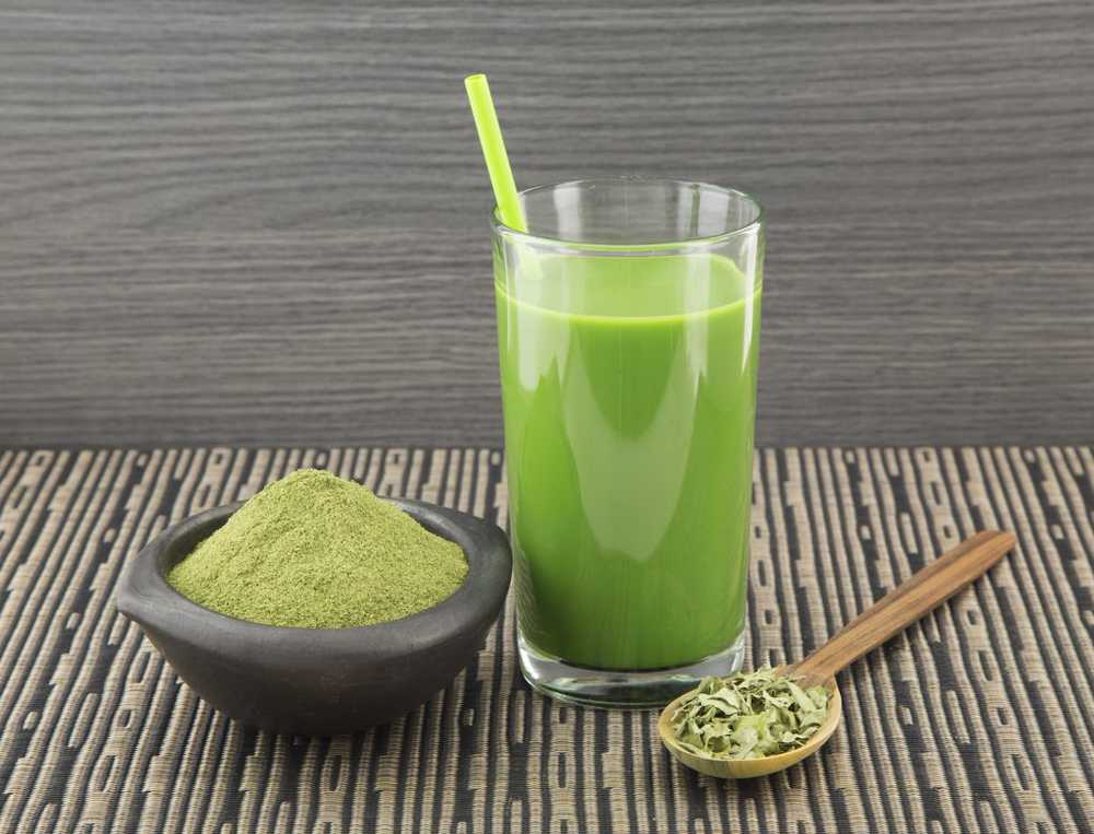 Salute verde foglie di Moringa - Hype o efficace erba medicinale? / Notizie di salute