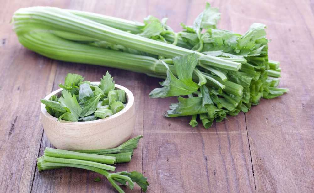 Health celery a super-vegetable / Health News