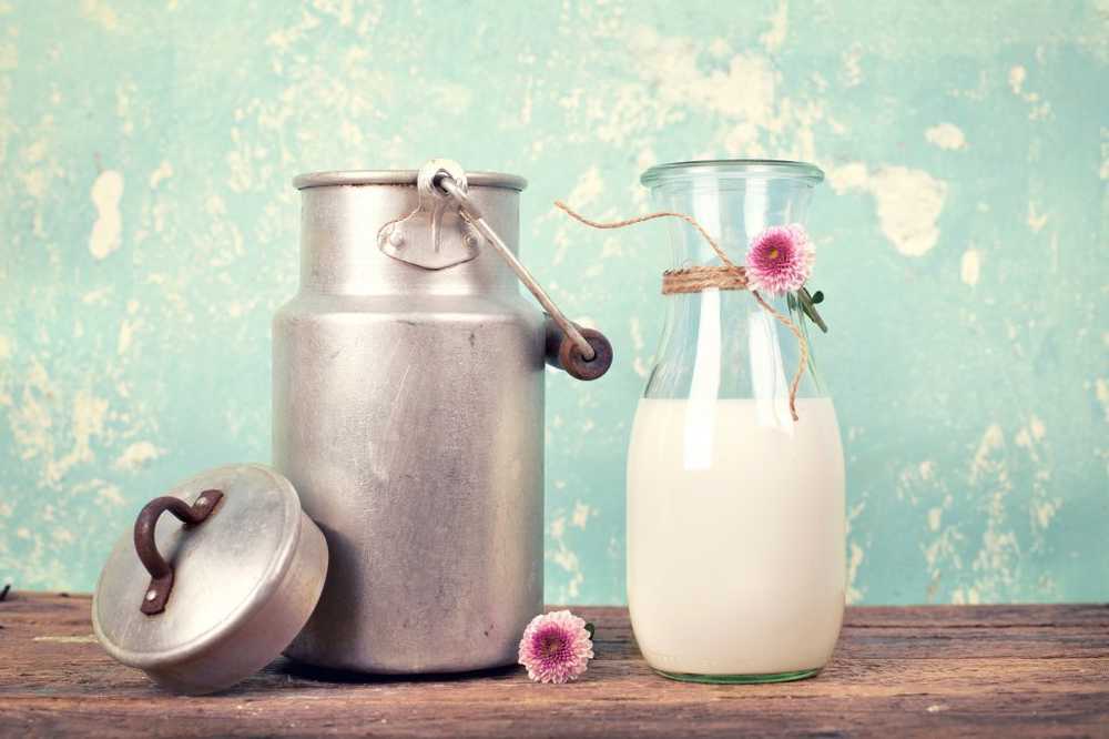 Health whole milk for children significantly healthier than low-fat milk