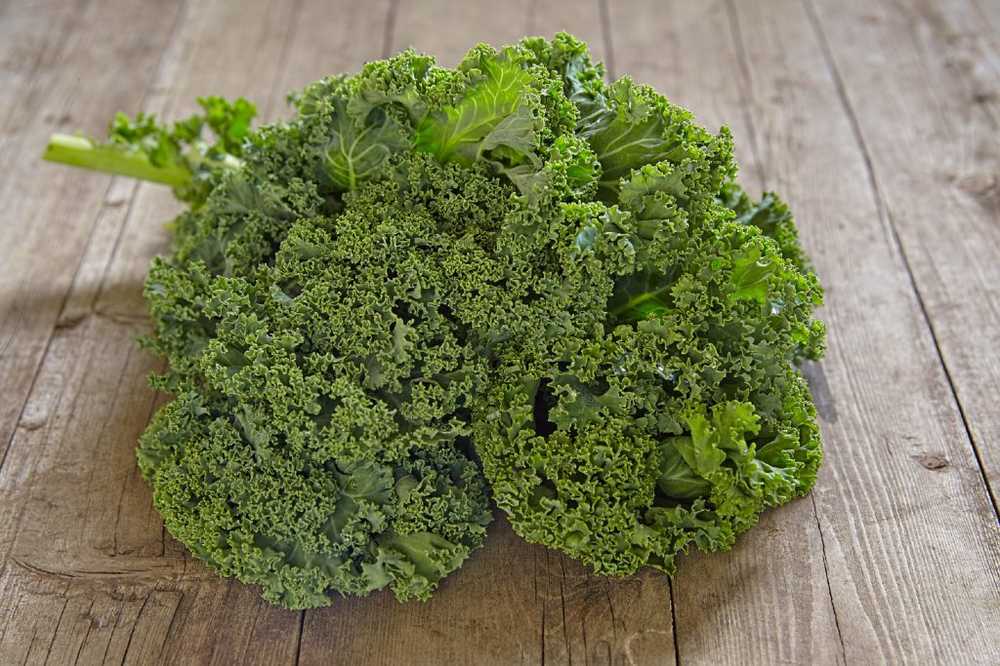 Health Winter Vegetables Already one serving of kale covers the complete vitamin C daily requirement